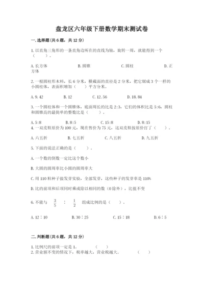 盘龙区六年级下册数学期末测试卷及一套完整答案.docx
