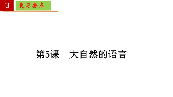 八年级语文下册第二单元 单元复习  课件(共30张PPT)