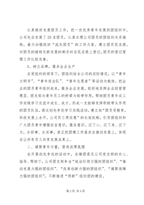 先进“两新”基层团组织事迹材料 (2).docx