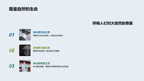 艺术映射自然