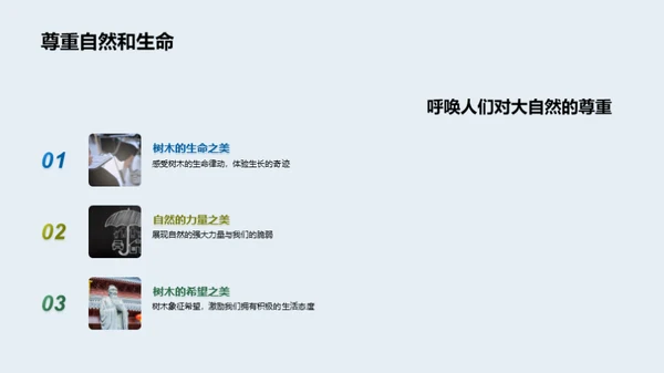 艺术映射自然