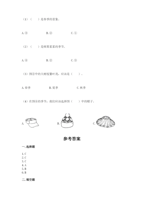 教科版小学二年级上册科学期末测试卷【典优】.docx