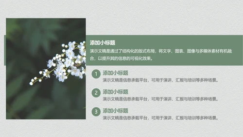 绿色个人作品集PPT模板