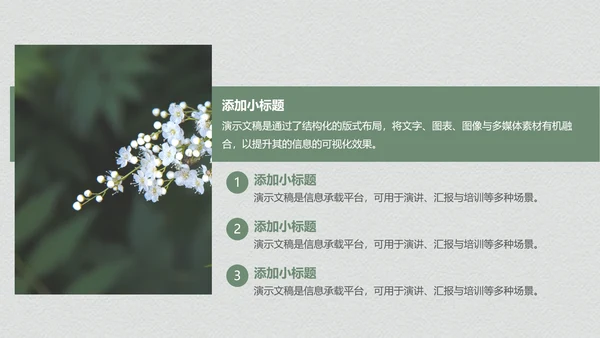 绿色个人作品集PPT模板