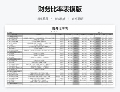 财务比率表模版