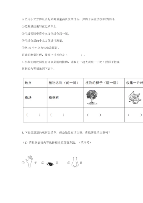 教科版一年级上册科学期末测试卷带答案.docx