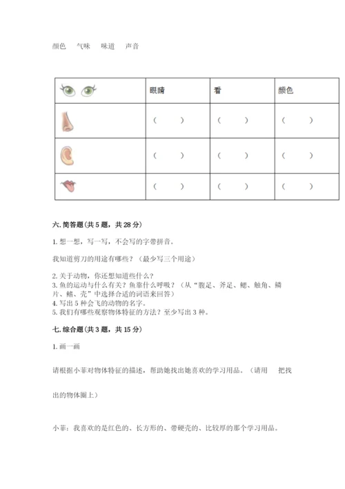 教科版一年级下册科学期末测试卷附答案（培优b卷）.docx