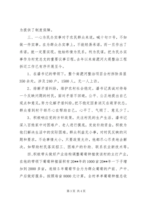 村党总支书记基层党组织先进典型事迹材料.docx