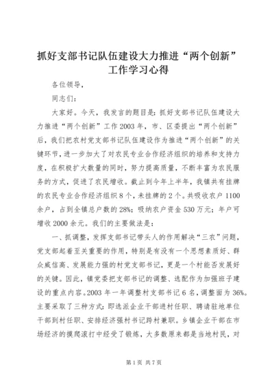 抓好支部书记队伍建设大力推进“两个创新”工作学习心得.docx