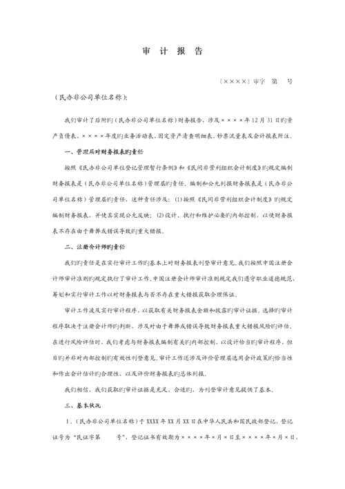 民办非企业单位财务设计标准报告.docx