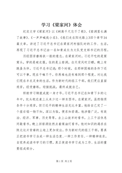 学习《梁家河》体会 (4).docx