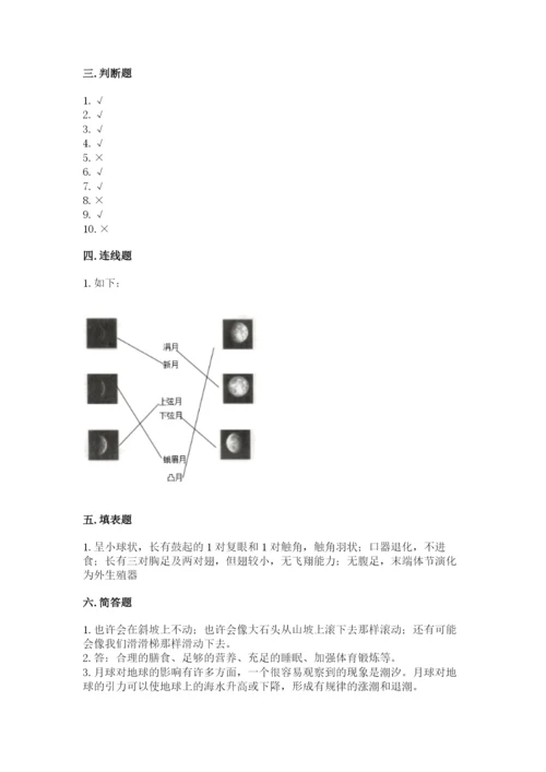 教科版科学三年级下册 期末测试卷精品【有一套】.docx