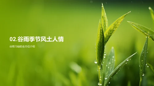 谷雨节气文化探究