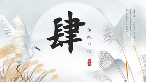 白露白鹤通用PPT模板