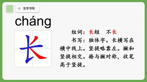 8《比尾巴》课件