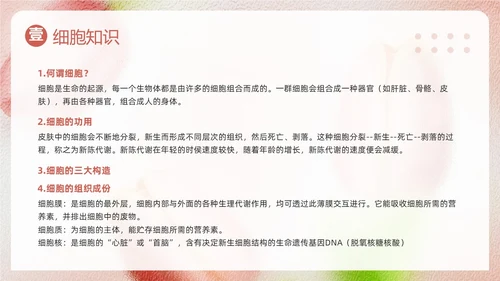 粉色简约美容知识培训大全PPT模板宣传PPT动态PPT