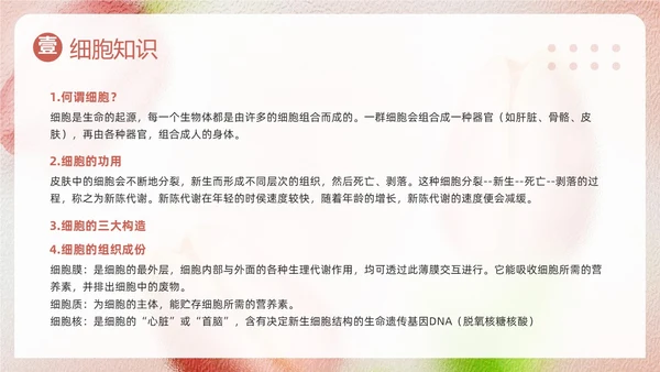 粉色简约美容知识培训大全PPT模板宣传PPT动态PPT