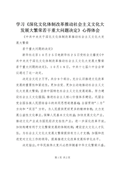 学习《深化文化体制改革推动社会主义文化大发展大繁荣若干重大问题决定》心得体会.docx