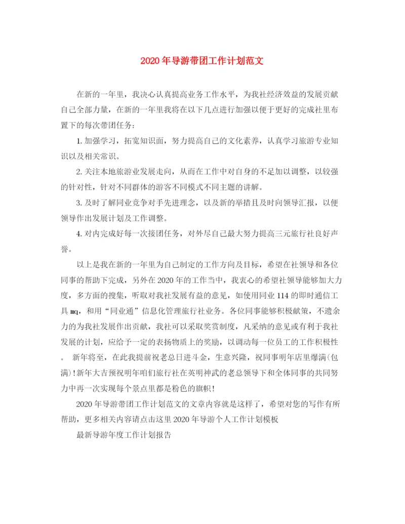 精编之年导游带团工作计划范文.docx