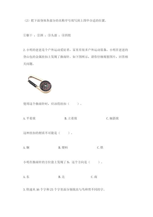 教科版小学科学二年级下册 期末测试卷及1套参考答案.docx