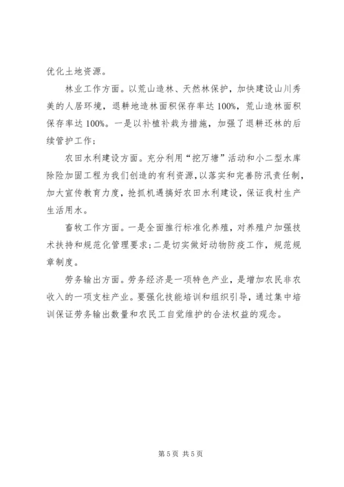 村级XX年度工作计划.docx