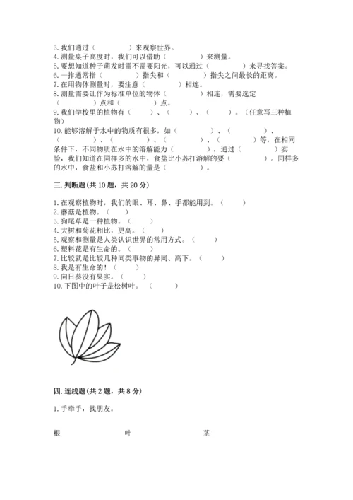 教科版一年级上册科学期末测试卷及答案（全优）.docx