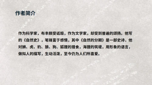 《天鹅》布丰天鹅湖通用PPT课件
