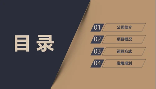 黑金创业融资商业计划书通用PPT母版