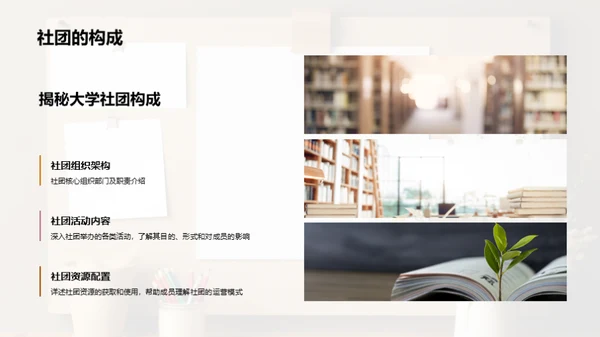 大学生社团纳新计划