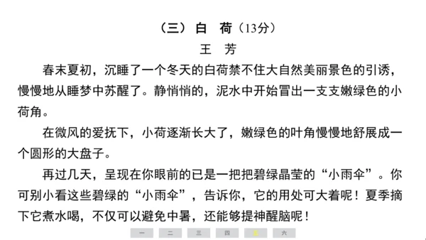统编版语文四年级上册（江苏专用）期中素养测评卷   课件