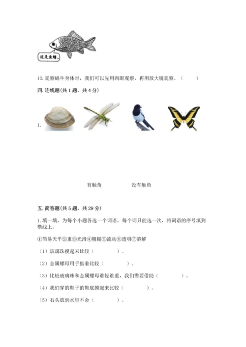 教科版一年级下册科学期末测试卷（培优b卷）.docx