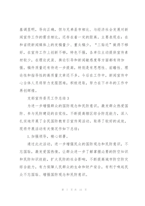 支部宣传委员工作总结5篇.docx