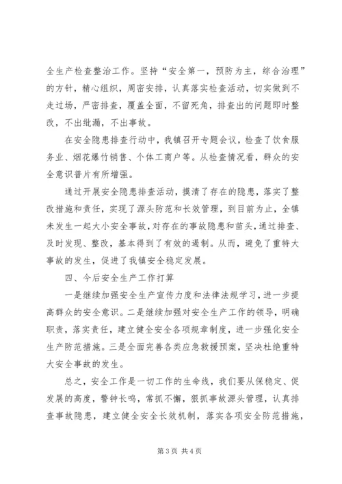 乡镇安全大检查工作总结.docx