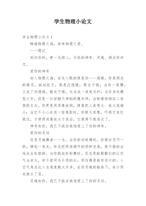 学生物理小论文.docx