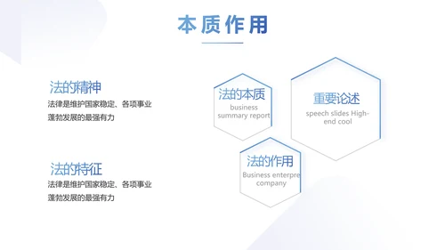 蓝色严谨大气公正司法工作总结PPT