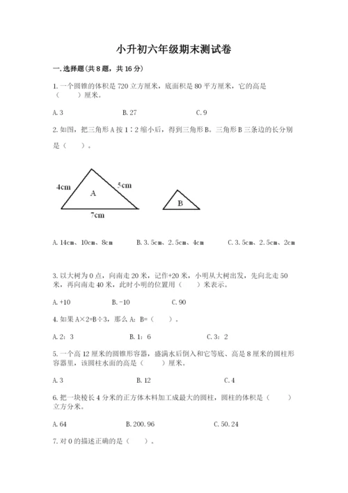 小升初六年级期末测试卷a4版.docx