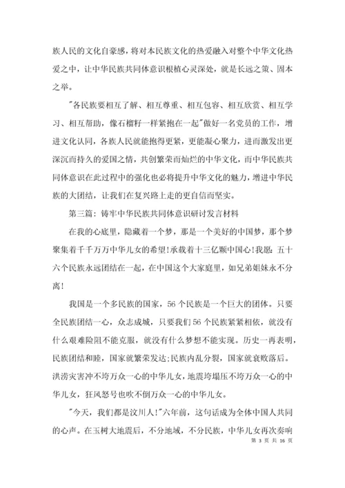 铸牢中华民族共同体意识研讨发言材料【十一篇】.docx