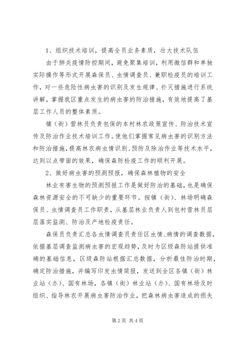 森林病虫防治检疫工作计划.docx