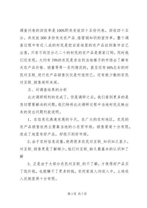 大学乡村个人实践报告.docx