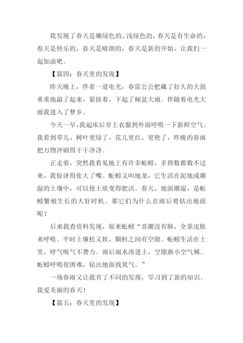 春天里的发现作文300字.docx