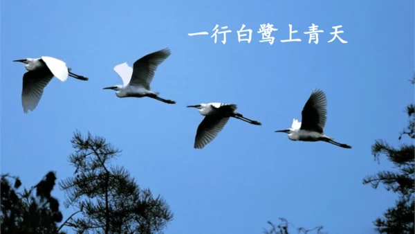 15 《古诗二首》（第二课时）——《绝句》-二年级下册统编版
