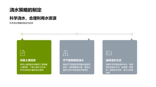 小满节气与农业实践PPT模板