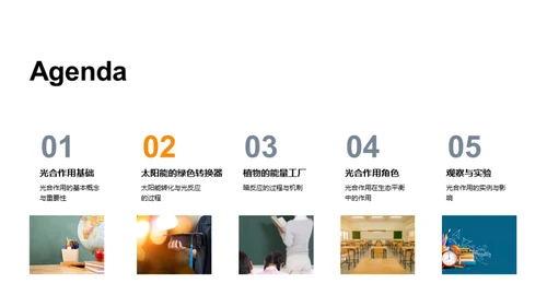绿色能源之源