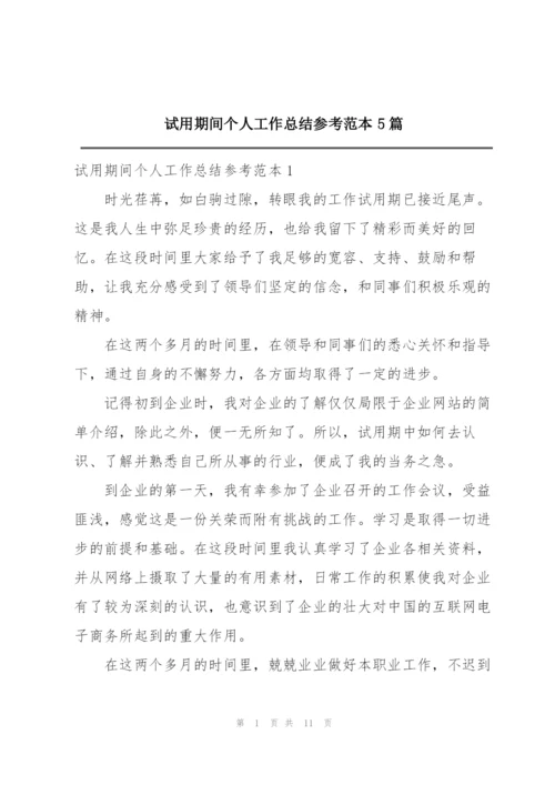 试用期间个人工作总结参考范本5篇.docx