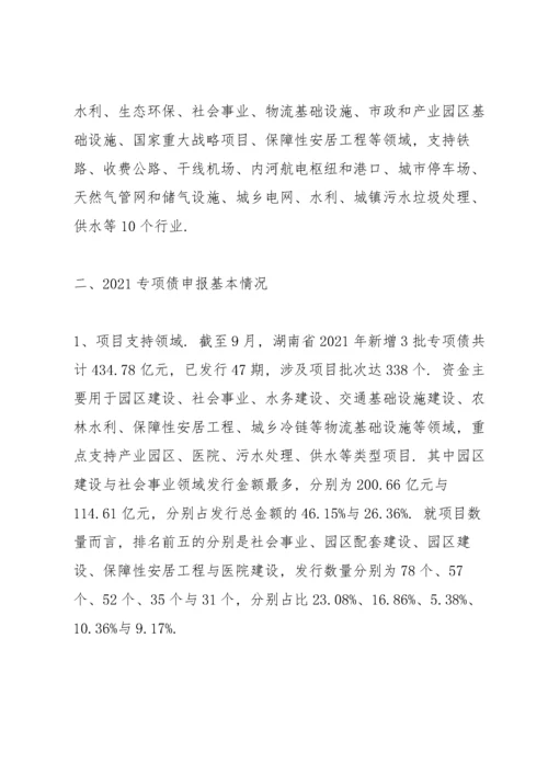 项目谋划专项债申报汇报.docx