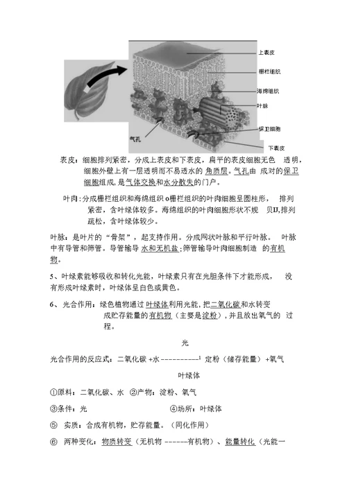 北师大版七年级上册生物复习提纲