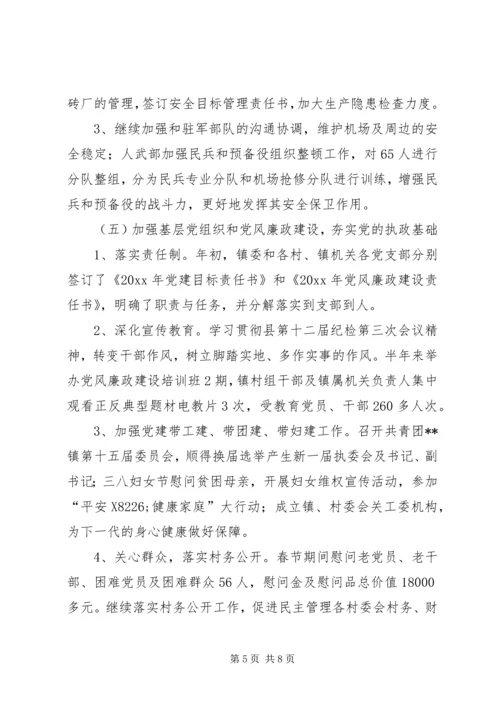 乡镇班子上半年工作要点总结.docx