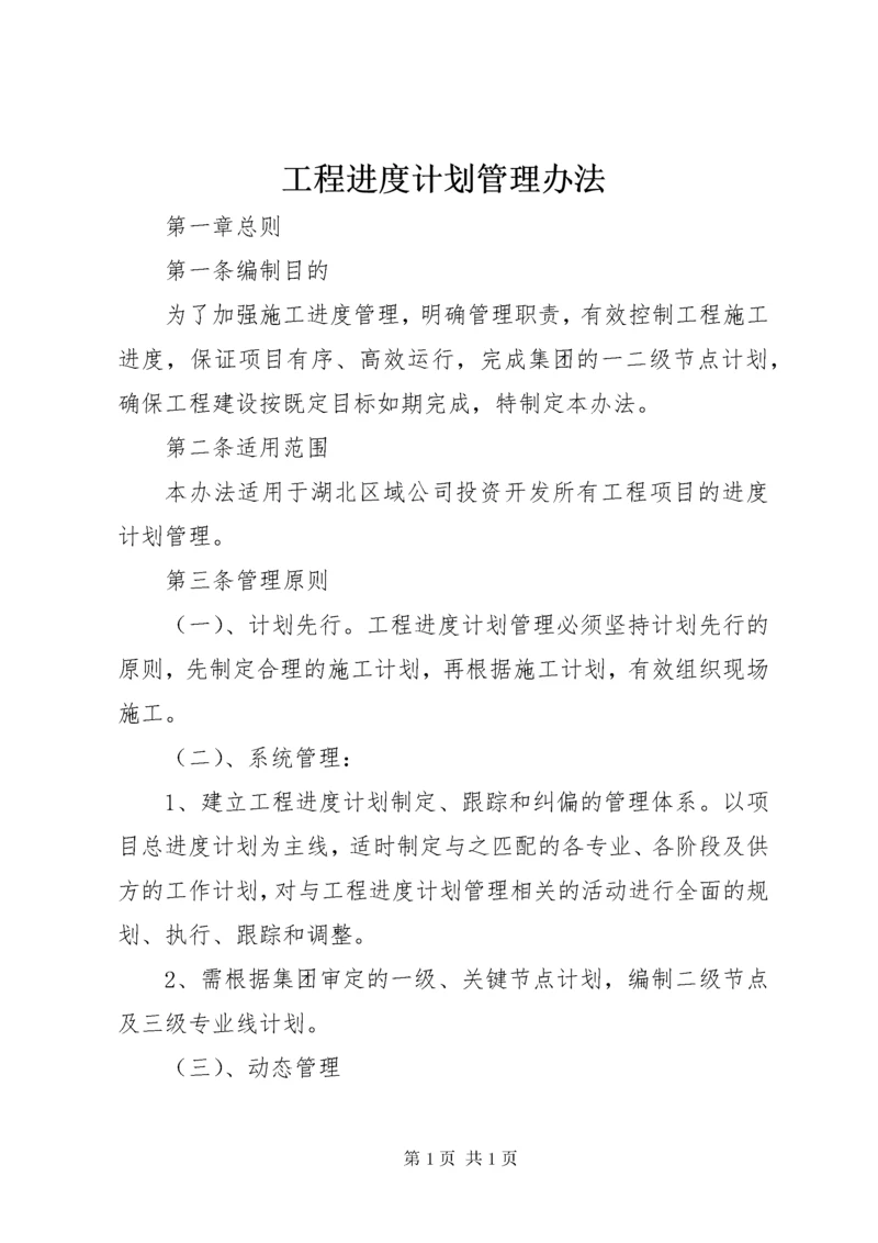 工程进度计划管理办法.docx