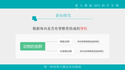 人教版生物七年级上册2.2.1《无脊椎动物》教学课件(共40张PPT)+视频素材