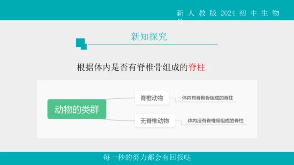 人教版生物七年级上册2.2.1《无脊椎动物》教学课件(共40张PPT)+视频素材